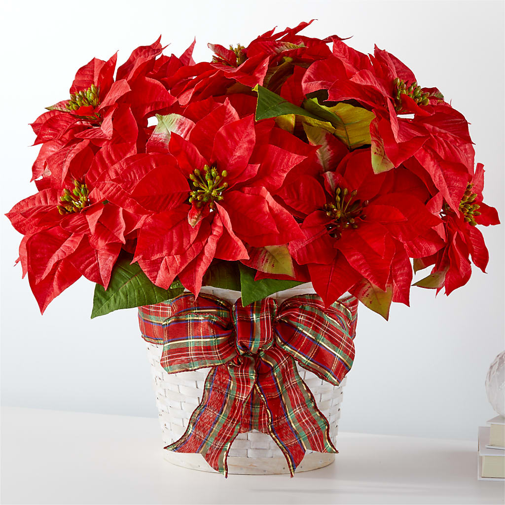 Happiest Holidays Poinsettia – Deux Gars Des Fleurs, Sorel PQ