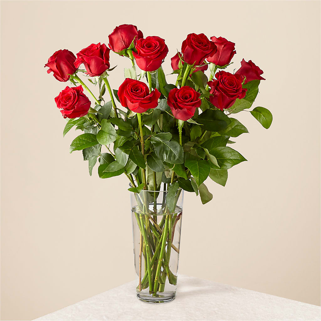 Long Stem Red Rose Bouquet – Deux Gars Des Fleurs, Sorel PQ