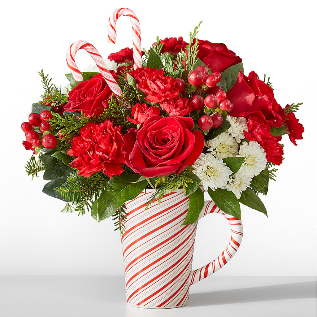 Peppermint Swirl Mug – Deux Gars Des Fleurs, Sorel PQ