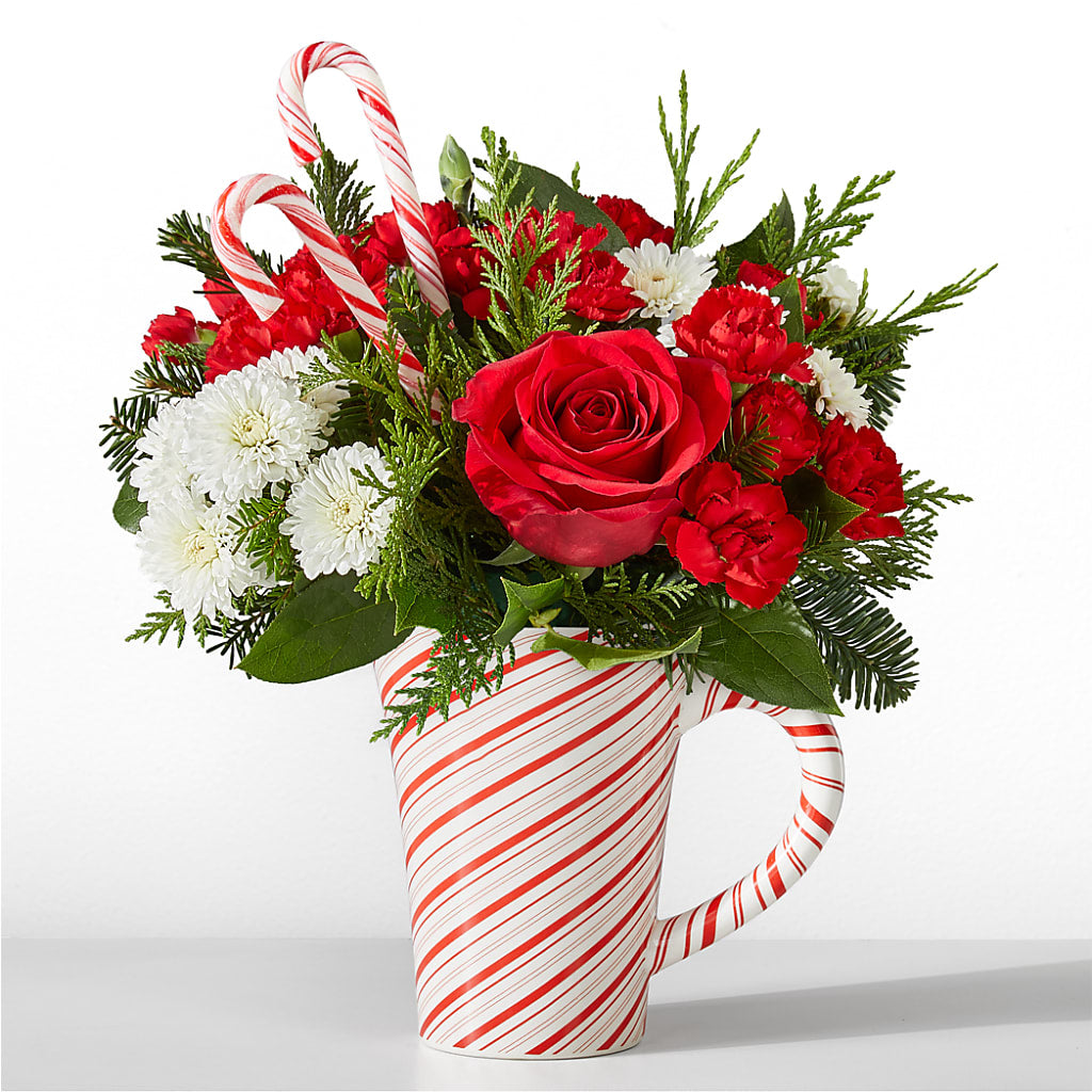 Peppermint Swirl Mug – Deux Gars Des Fleurs, Sorel PQ