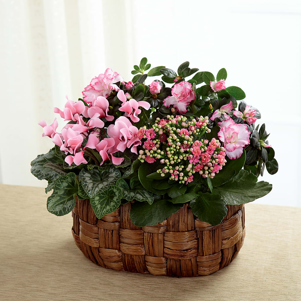 Pink Assortment – Deux Gars Des Fleurs, Sorel PQ