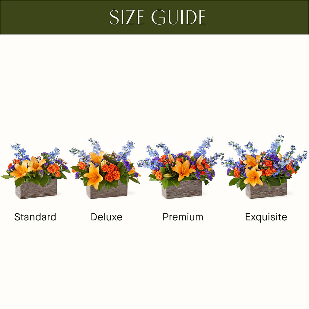 Radiant Citrus Box Bouquet – Deux Gars Des Fleurs, Sorel PQ
