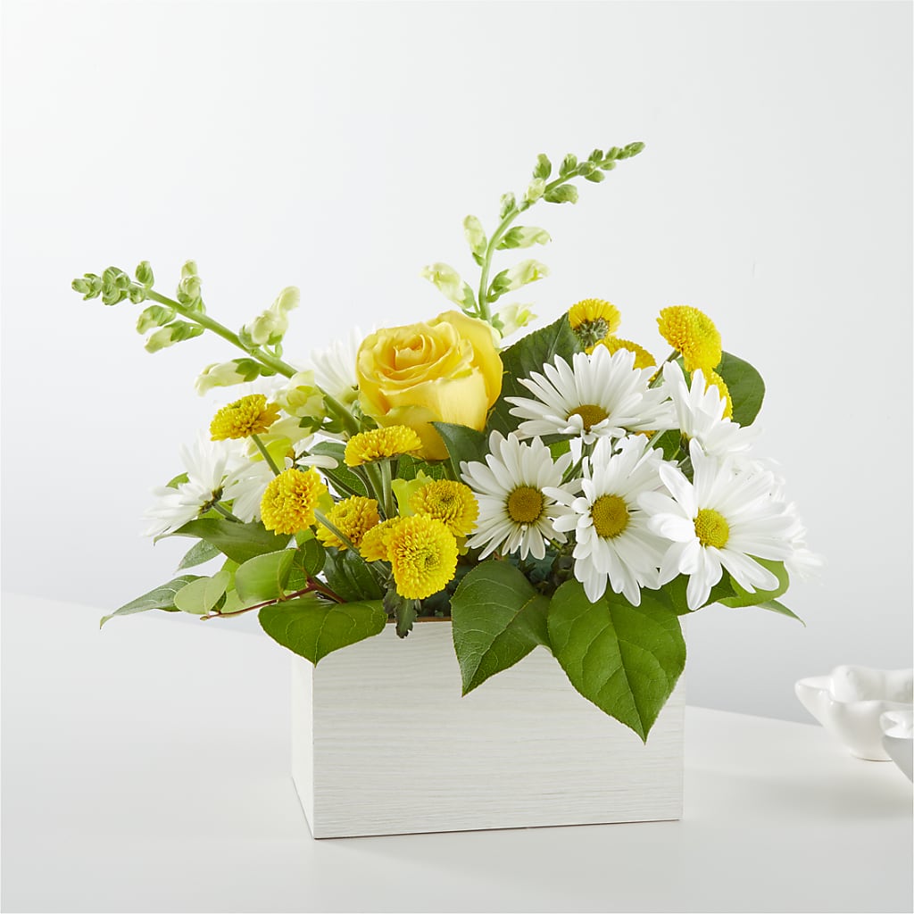 Sun Salutation Box Bouquet – Deux Gars Des Fleurs, Sorel PQ