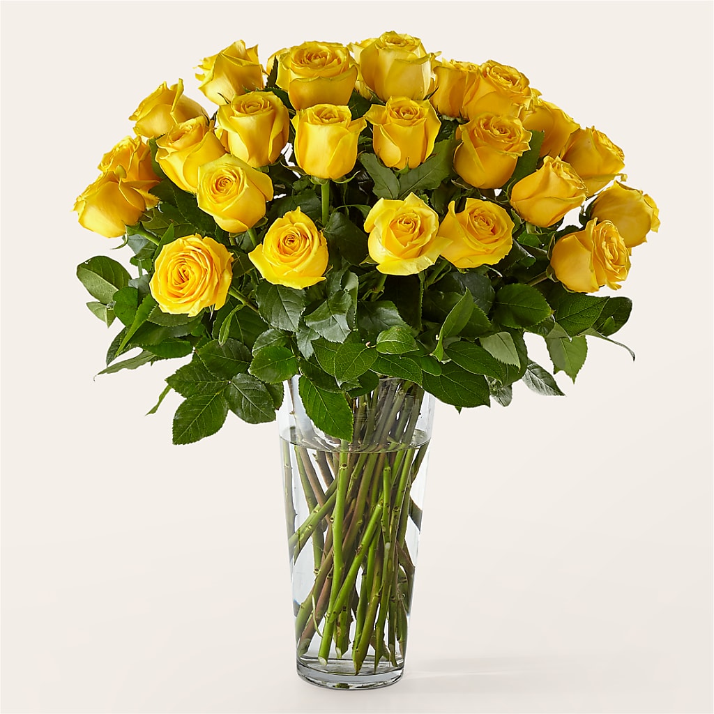 Long Stem Yellow Rose Bouquet – Deux Gars Des Fleurs, Sorel PQ