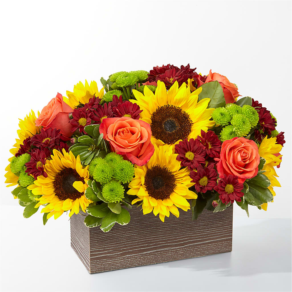 Happy Harvest Garden – Deux Gars Des Fleurs, Sorel PQ