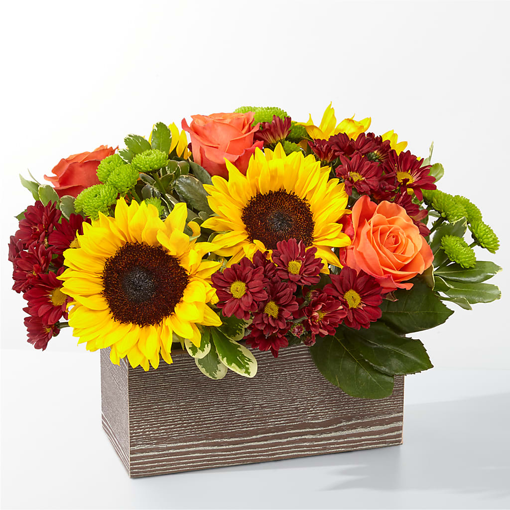 Happy Harvest Garden – Deux Gars Des Fleurs, Sorel PQ