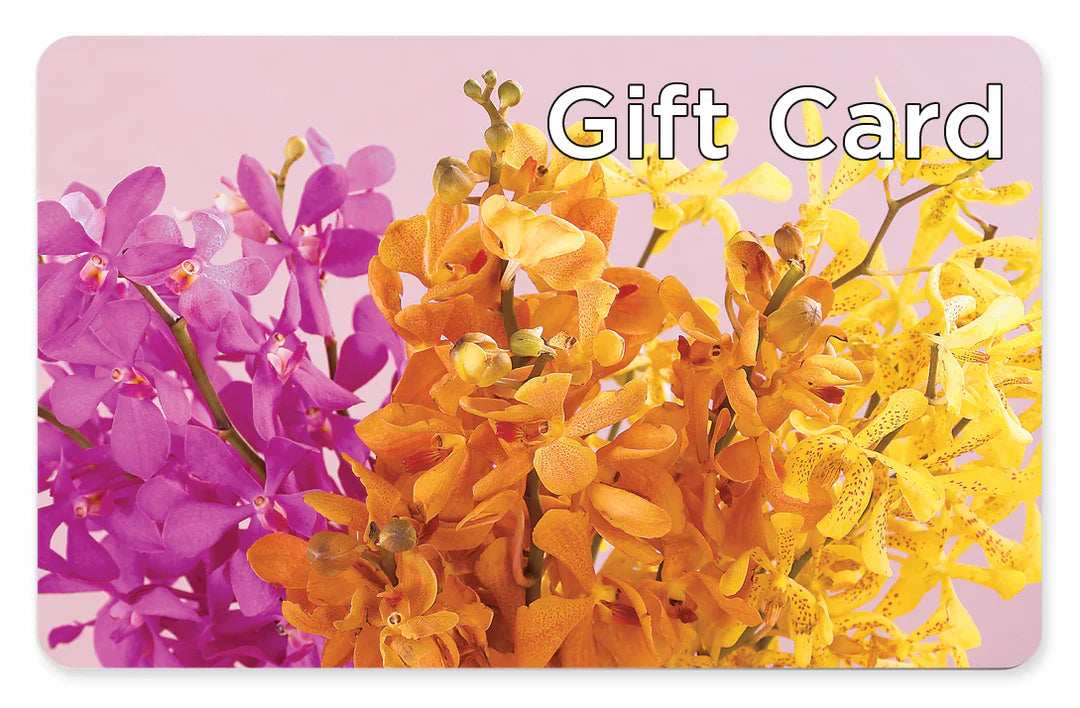 Gift Card – Deux Gars Des Fleurs, Sorel PQ