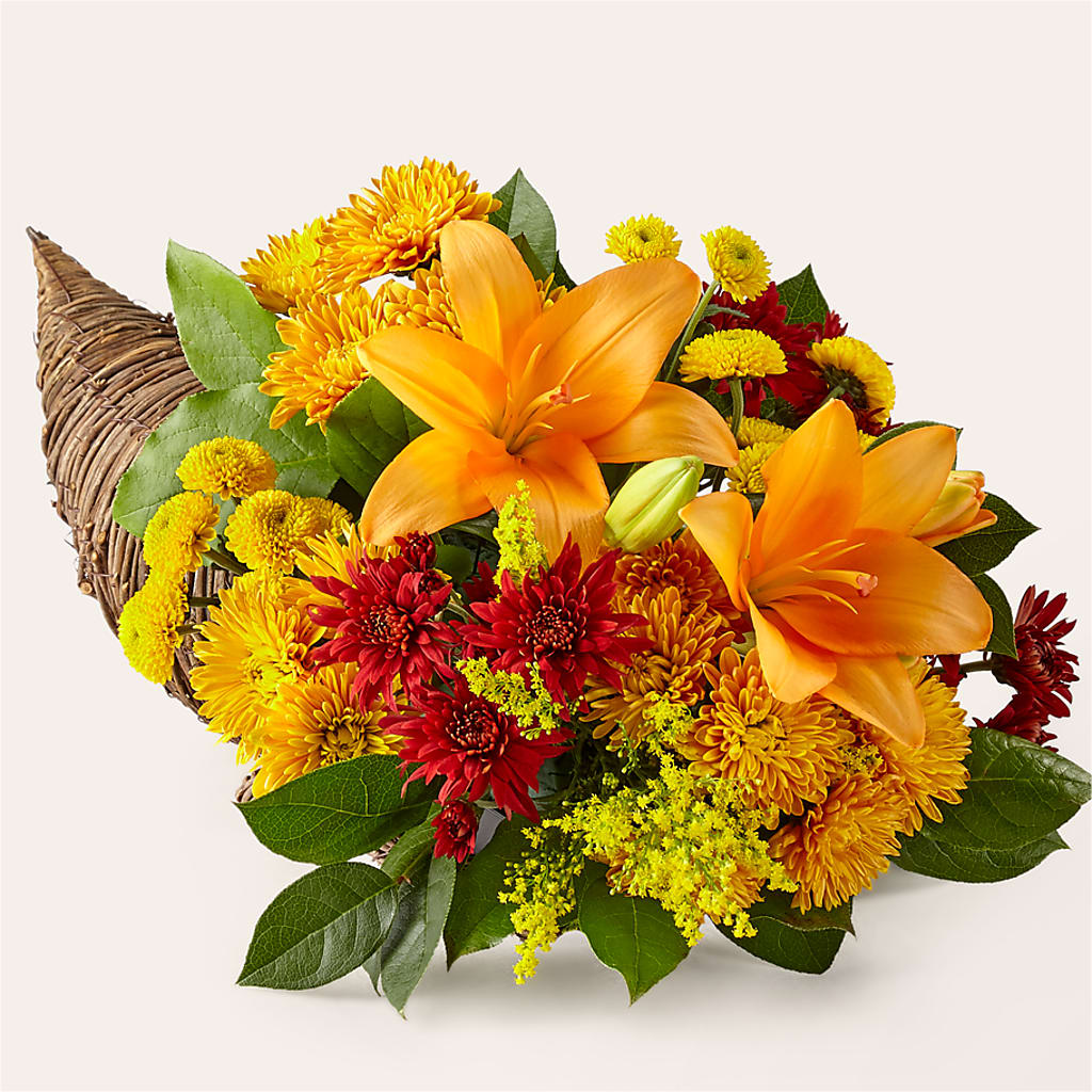 Feast of Color Cornucopia – Deux Gars Des Fleurs, Sorel PQ