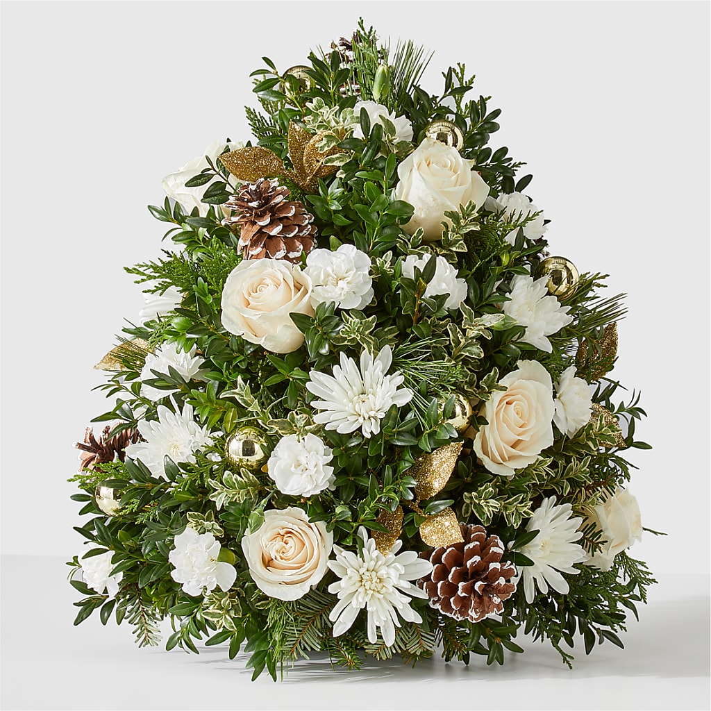 Snowed In Tree – Deux Gars Des Fleurs, Sorel PQ