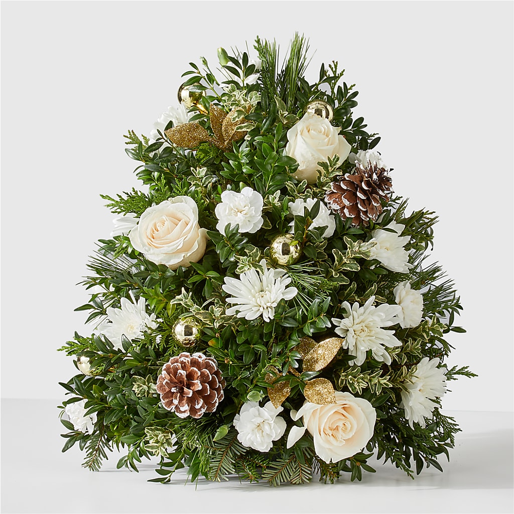 Snowed In Tree – Deux Gars Des Fleurs, Sorel PQ