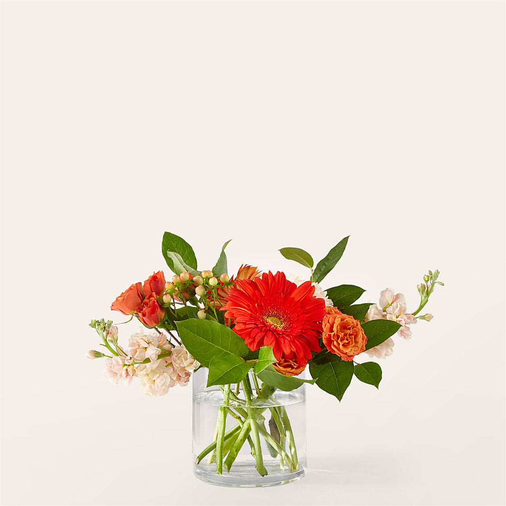 Paloma Please Bouquet – Deux Gars Des Fleurs, Sorel PQ