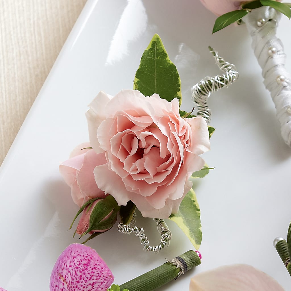 Pink Spray Rose Boutonniere – Deux Gars Des Fleurs, Sorel PQ