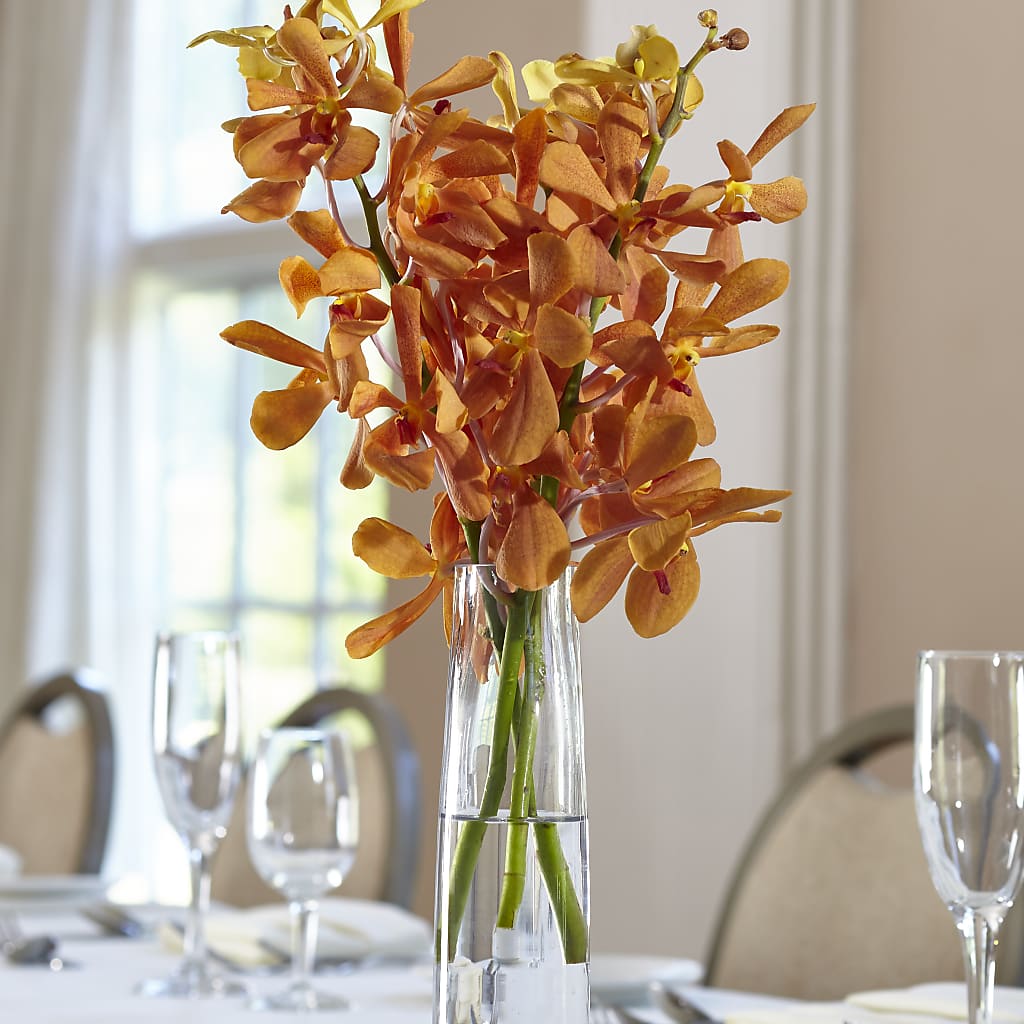 Orange Mokara Bud Vase – Deux Gars Des Fleurs, Sorel PQ