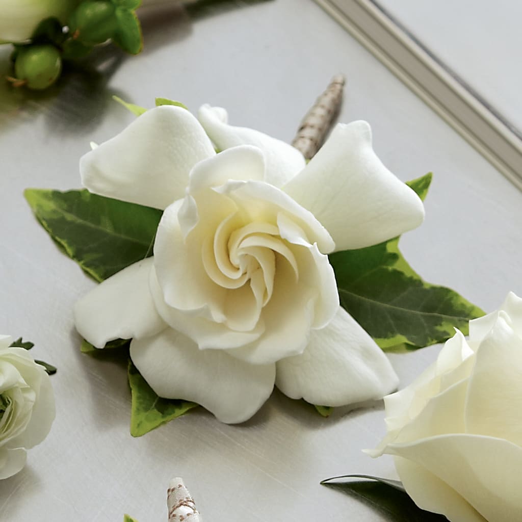 Gardenia Boutonniere – Deux Gars Des Fleurs, Sorel PQ