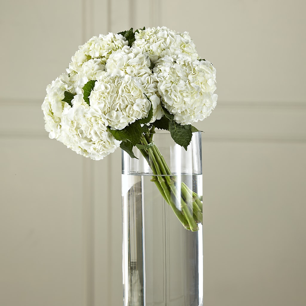 White Hydrangea Hand-Tied Bouquet – Deux Gars Des Fleurs, Sorel PQ