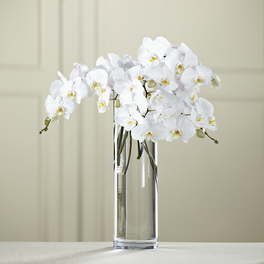 White Phalaenopsis Bouquet – Deux Gars Des Fleurs, Sorel PQ