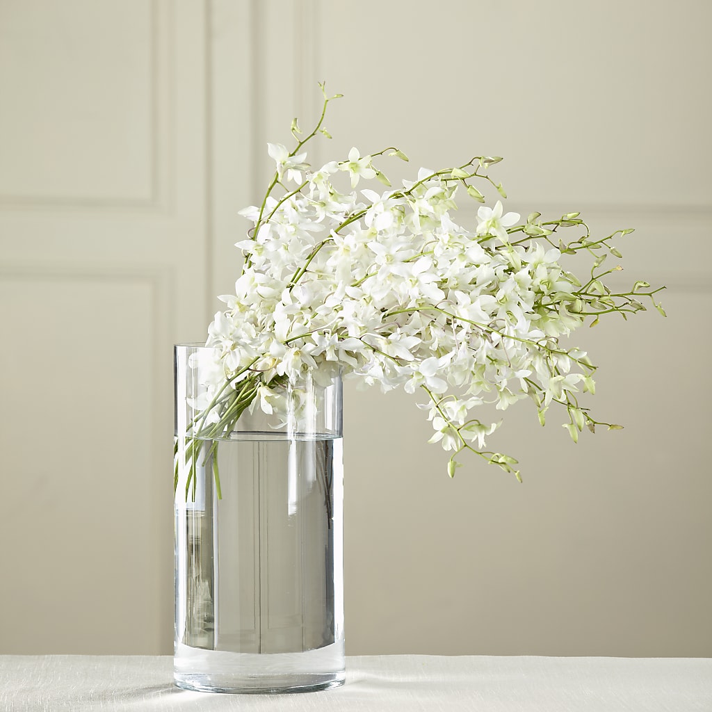 White Dendrobium Bouquet – Deux Gars Des Fleurs, Sorel PQ