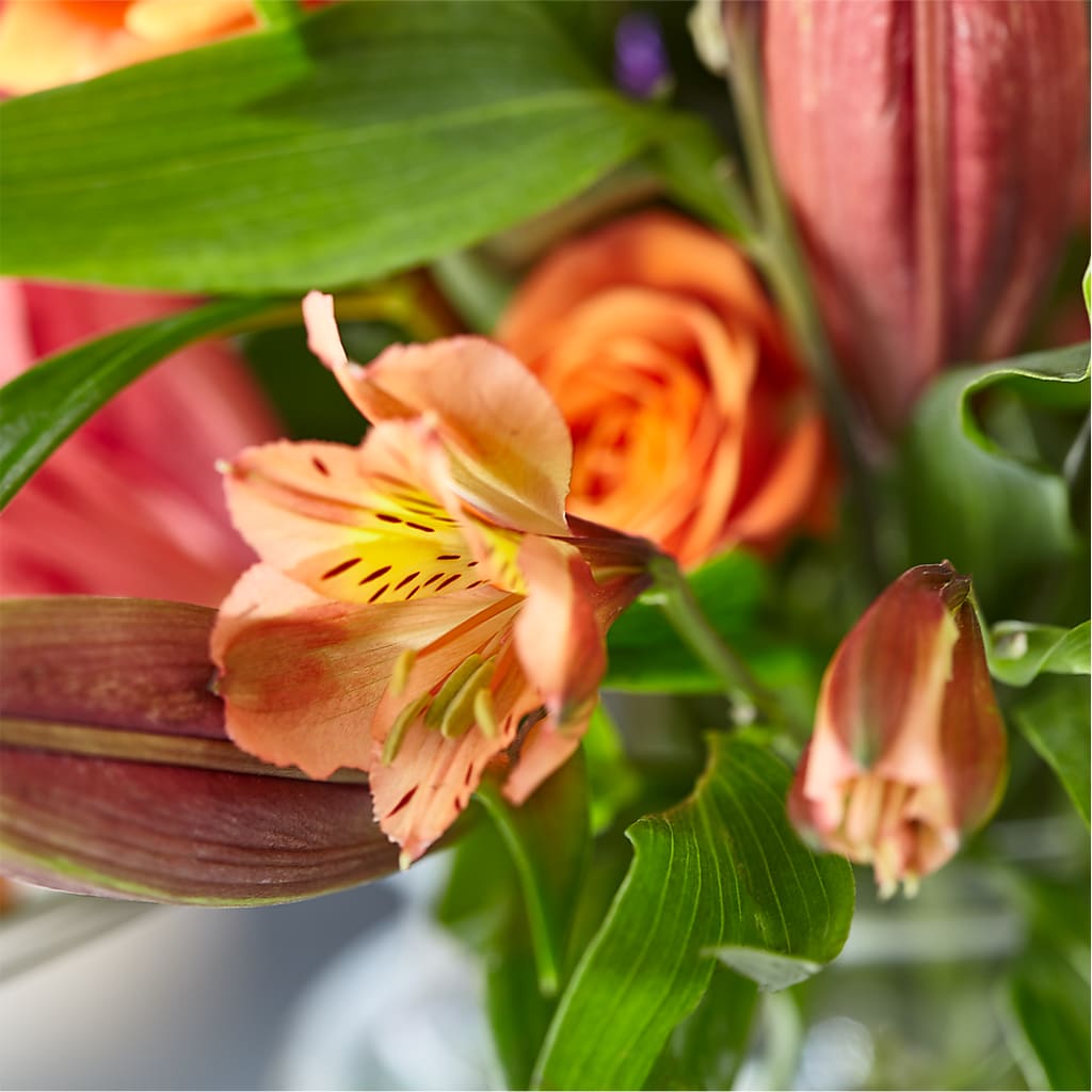 Bold & Bright – A Florist Original –  Deux Gars Des Fleurs, Sorel PQ