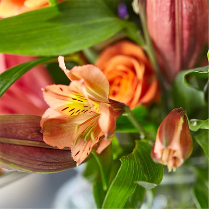 Bold & Bright – A Florist Original –  Deux Gars Des Fleurs, Sorel PQ