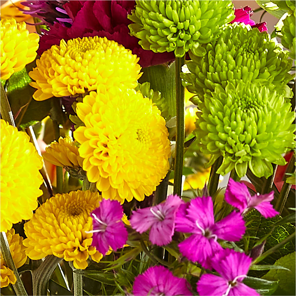 Bold & Bright – A Florist Original –  Deux Gars Des Fleurs, Sorel PQ