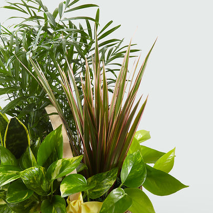 French Garden –  Deux Gars Des Fleurs, Sorel PQ