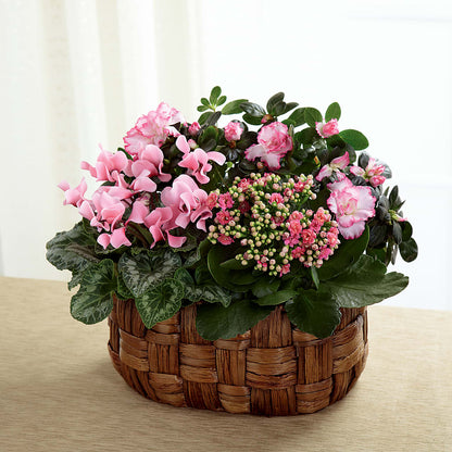 Pink Assortment –  Deux Gars Des Fleurs, Sorel PQ