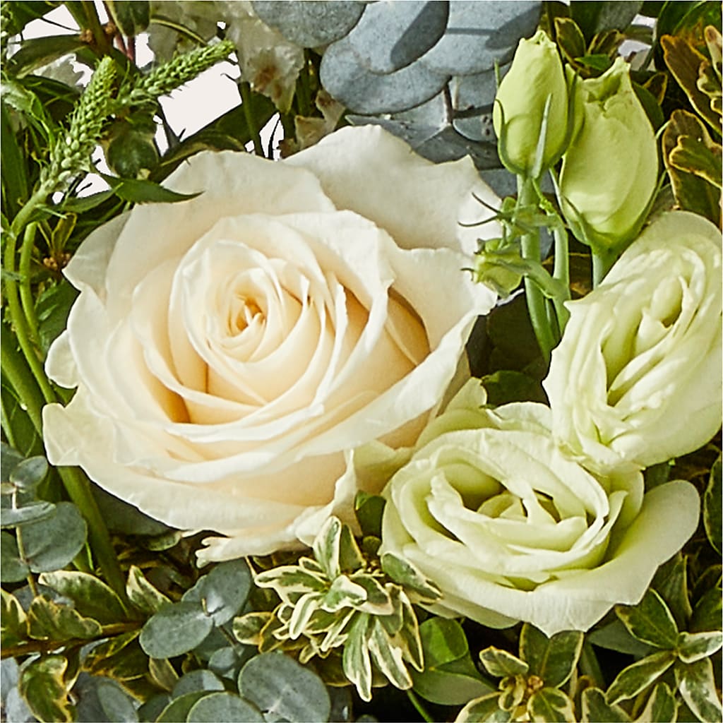 Cashmere Bouquet –  Deux Gars Des Fleurs, Sorel PQ