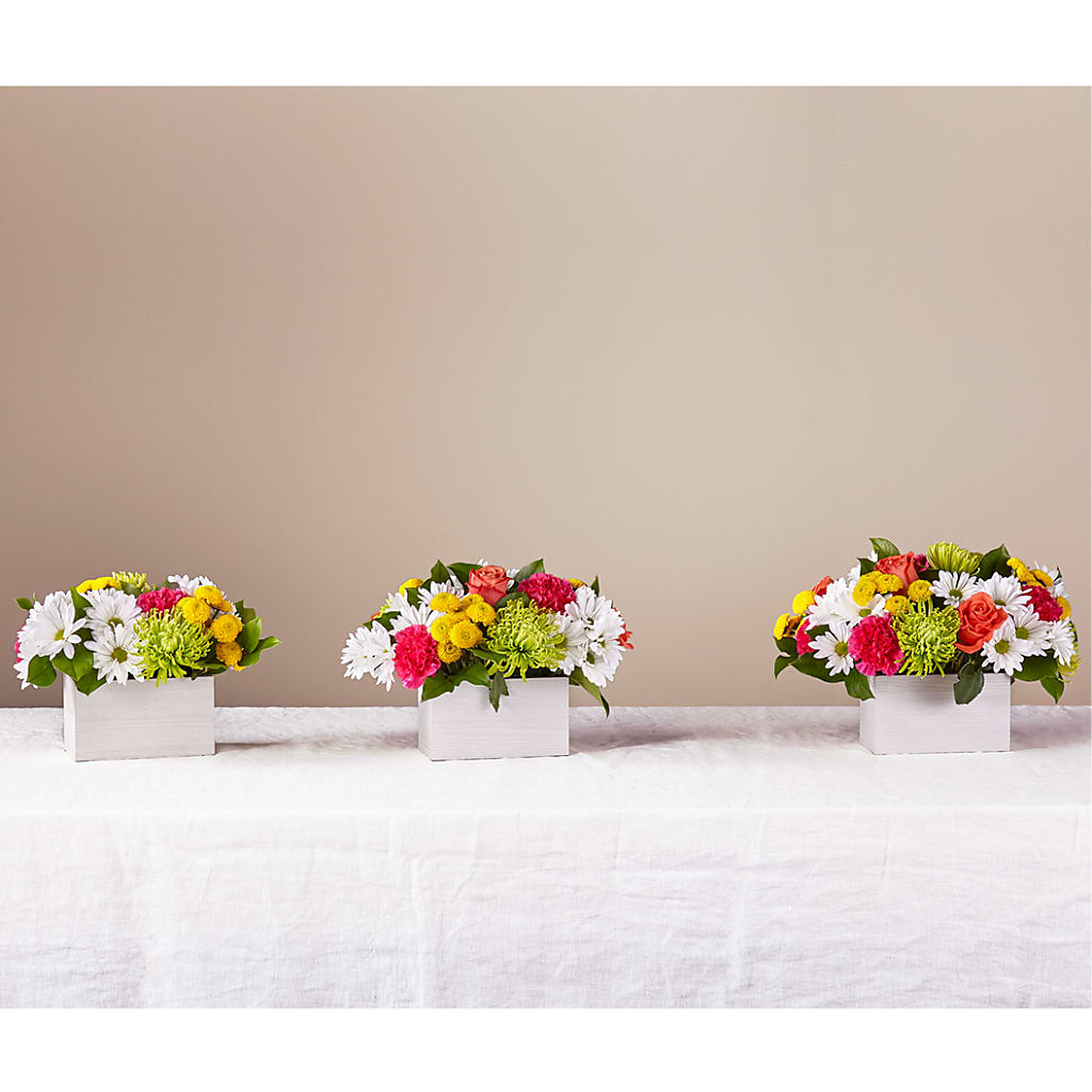 Sorbet Bouquet –  Deux Gars Des Fleurs, Sorel PQ