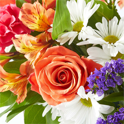 Oopsie Daisy Box Bouquet –  Deux Gars Des Fleurs, Sorel PQ