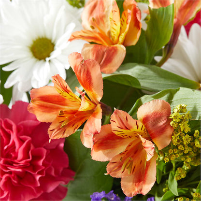 Oopsie Daisy Box Bouquet –  Deux Gars Des Fleurs, Sorel PQ
