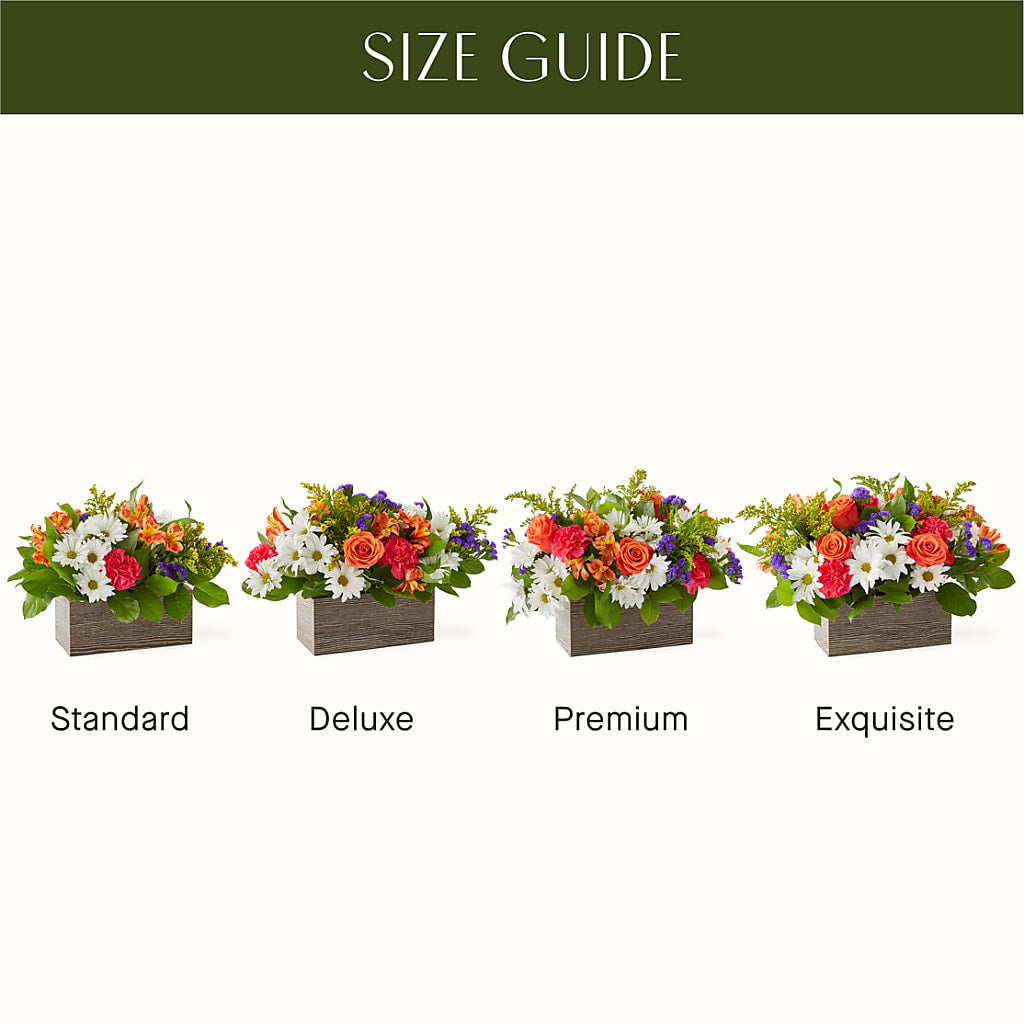 Oopsie Daisy Box Bouquet –  Deux Gars Des Fleurs, Sorel PQ