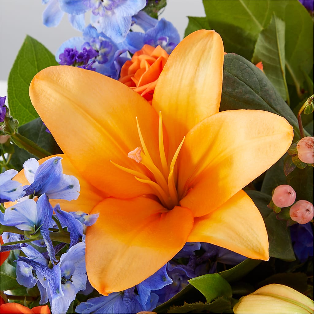 Radiant Citrus Box Bouquet –  Deux Gars Des Fleurs, Sorel PQ