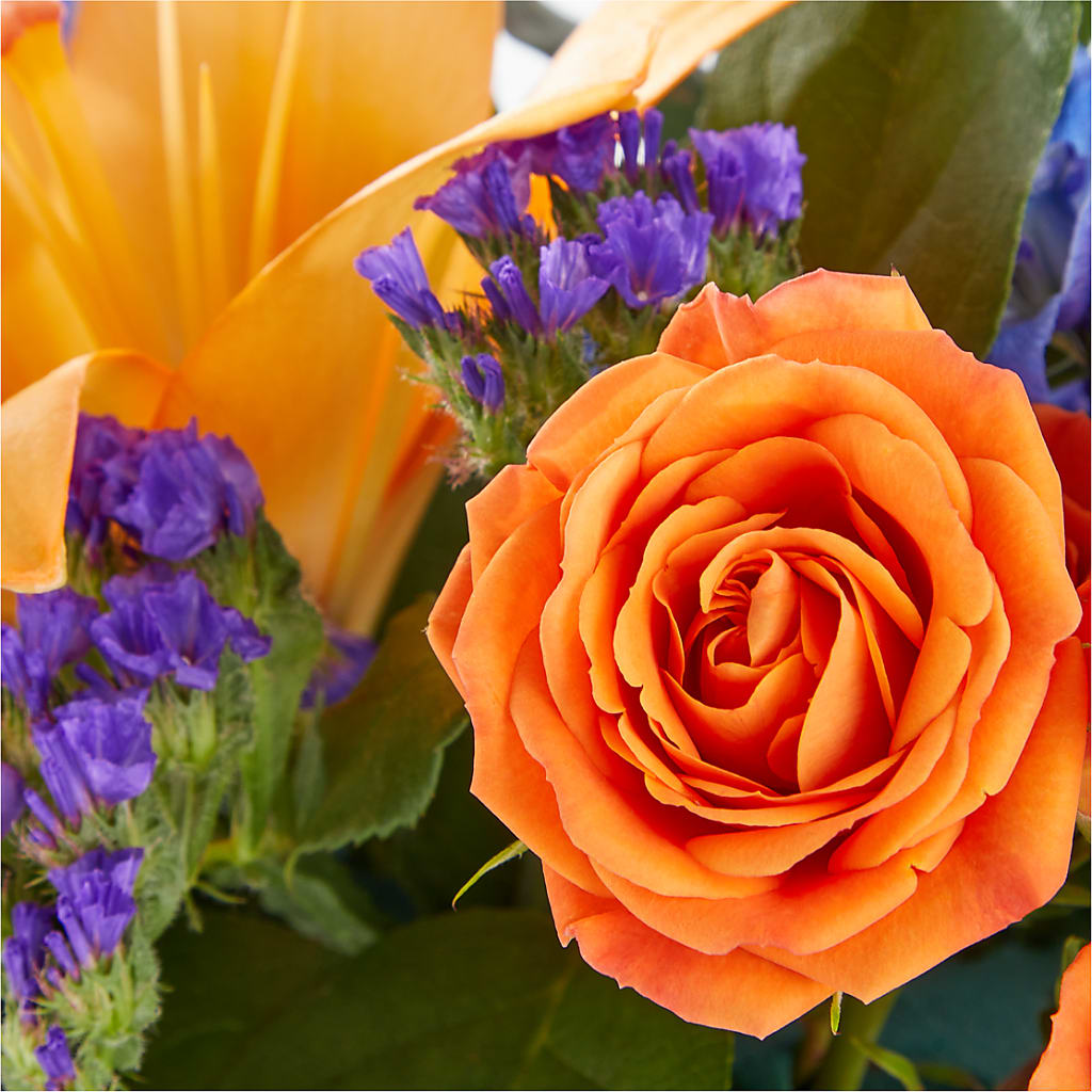 Radiant Citrus Box Bouquet –  Deux Gars Des Fleurs, Sorel PQ