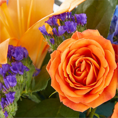 Radiant Citrus Box Bouquet –  Deux Gars Des Fleurs, Sorel PQ