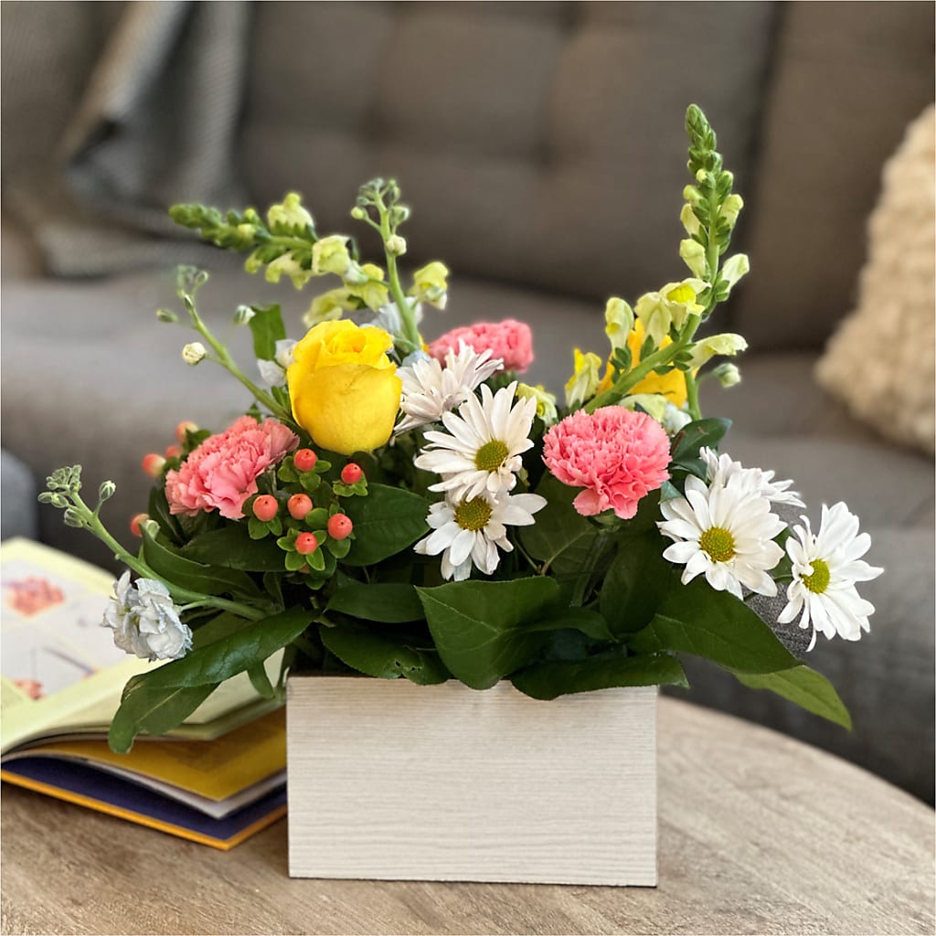 Sun Salutation Box Bouquet –  Deux Gars Des Fleurs, Sorel PQ
