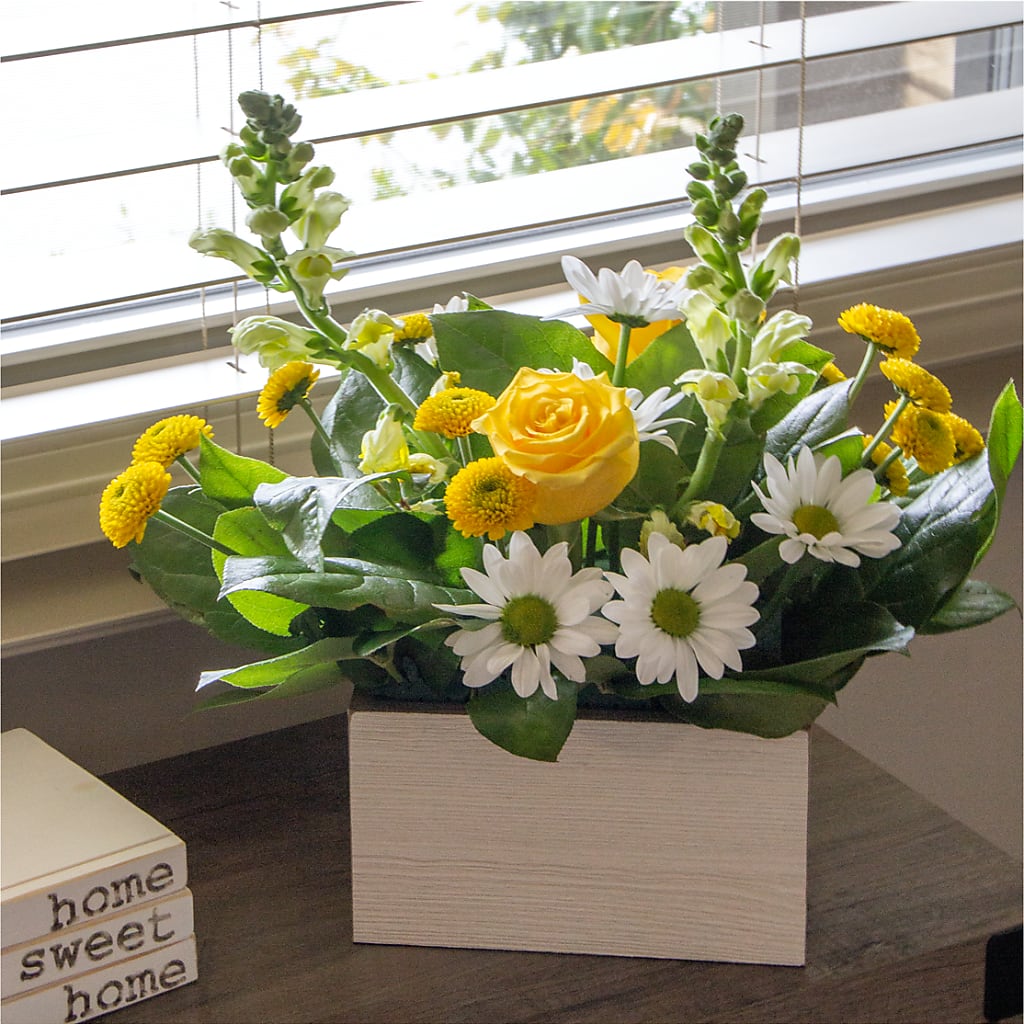 Sun Salutation Box Bouquet –  Deux Gars Des Fleurs, Sorel PQ