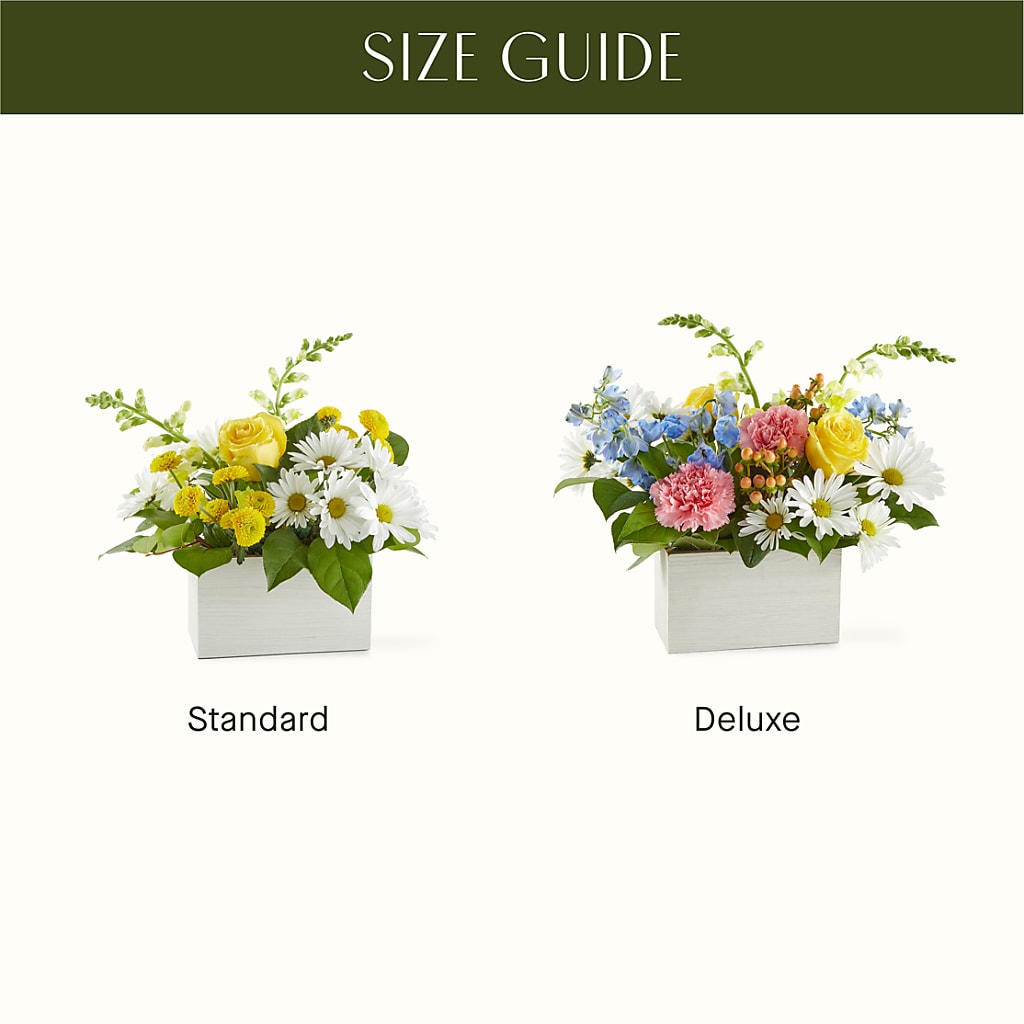 Sun Salutation Box Bouquet –  Deux Gars Des Fleurs, Sorel PQ