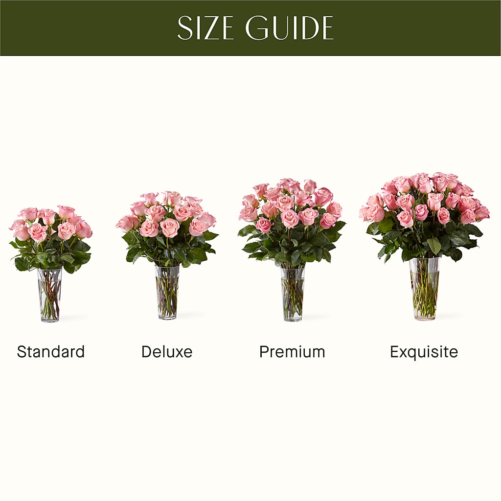 Long Stem Pink Rose Bouquet –  Deux Gars Des Fleurs, Sorel PQ
