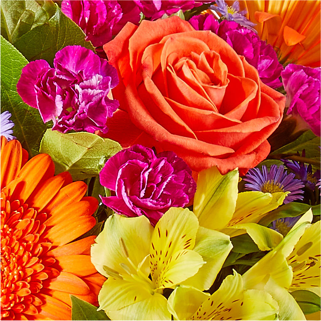 Tricks & Treats Pumpkin –  Deux Gars Des Fleurs, Sorel PQ
