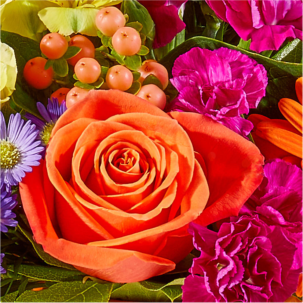 Tricks & Treats Pumpkin –  Deux Gars Des Fleurs, Sorel PQ