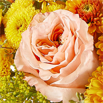 Peachy Pumpkin –  Deux Gars Des Fleurs, Sorel PQ