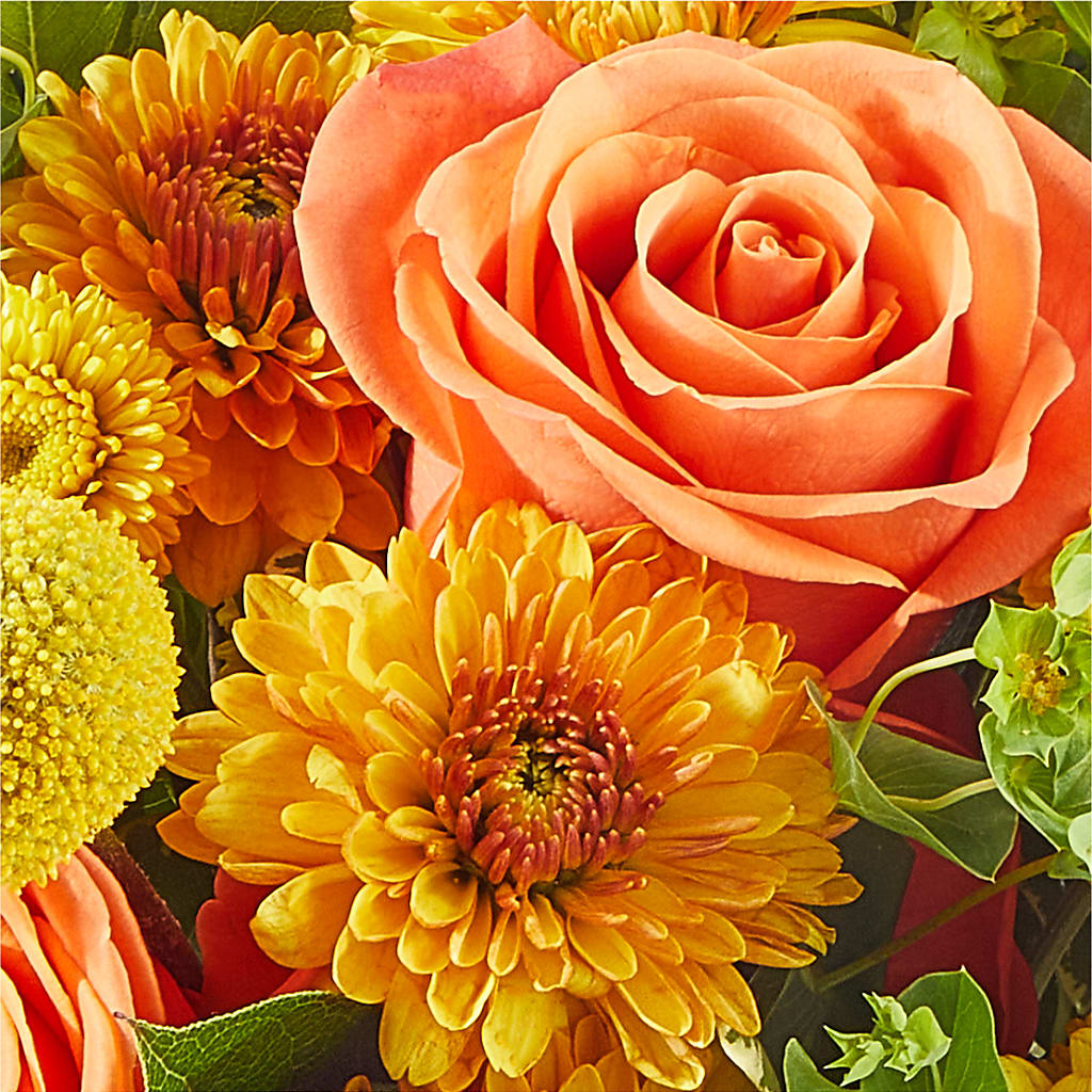 Gourdgeous Pumpkin –  Deux Gars Des Fleurs, Sorel PQ