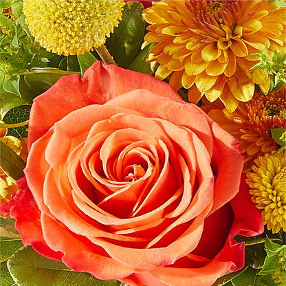Gourdgeous Pumpkin –  Deux Gars Des Fleurs, Sorel PQ