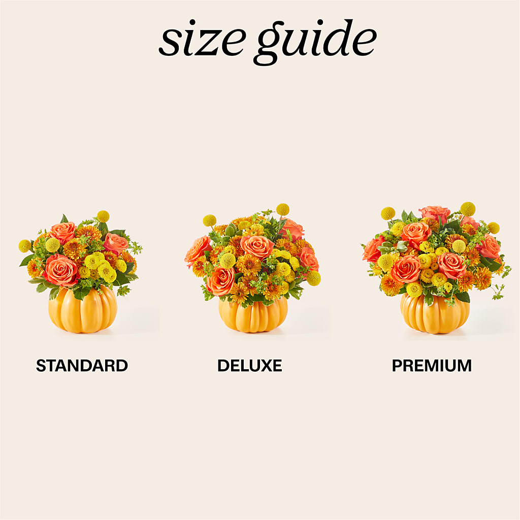 Gourdgeous Pumpkin –  Deux Gars Des Fleurs, Sorel PQ
