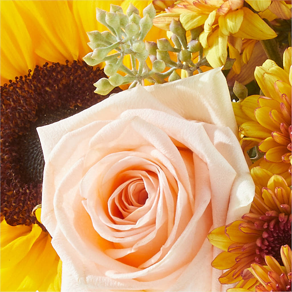 Pumpkin to Talk About Bouquet –  Deux Gars Des Fleurs, Sorel PQ
