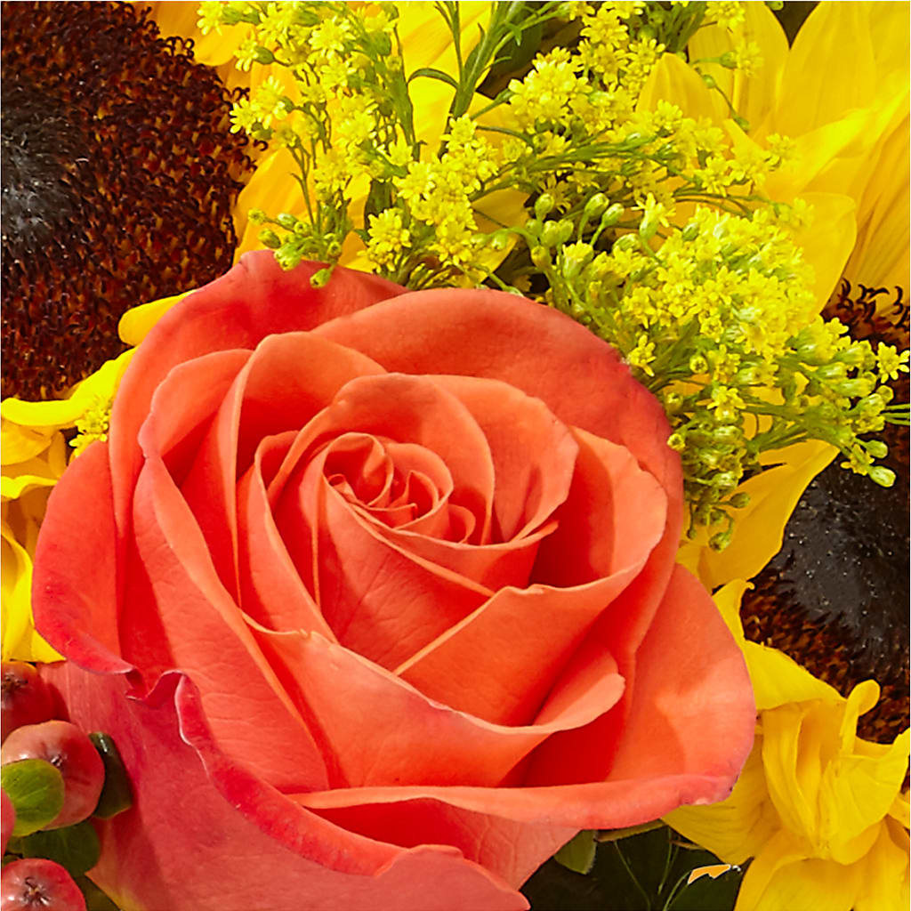 Pick of the Patch Pumpkin Bouquet –  Deux Gars Des Fleurs, Sorel PQ