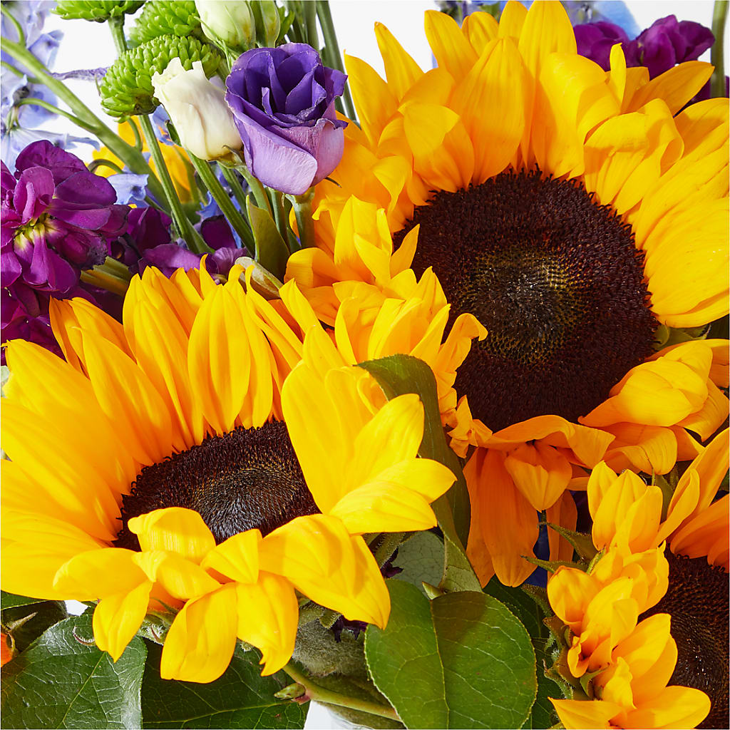 Catching Rays Bouquet –  Deux Gars Des Fleurs, Sorel PQ