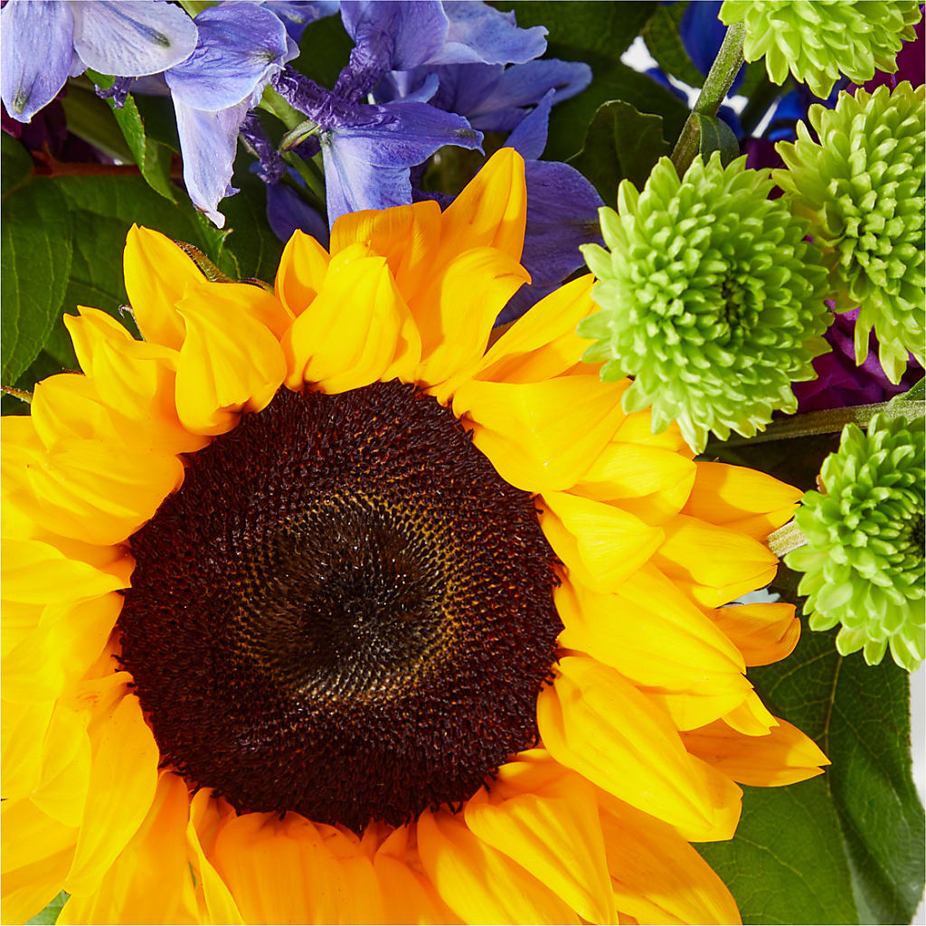 Catching Rays Bouquet –  Deux Gars Des Fleurs, Sorel PQ