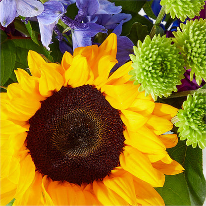 Catching Rays Bouquet –  Deux Gars Des Fleurs, Sorel PQ