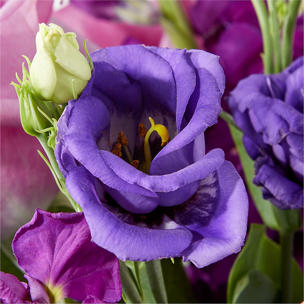 Twilight Glow Bouquet –  Deux Gars Des Fleurs, Sorel PQ